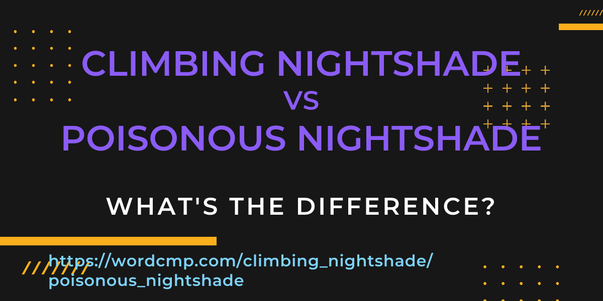 Difference between climbing nightshade and poisonous nightshade
