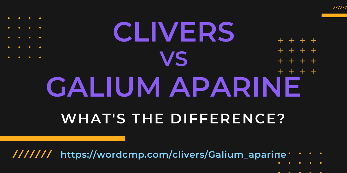 Difference between clivers and Galium aparine