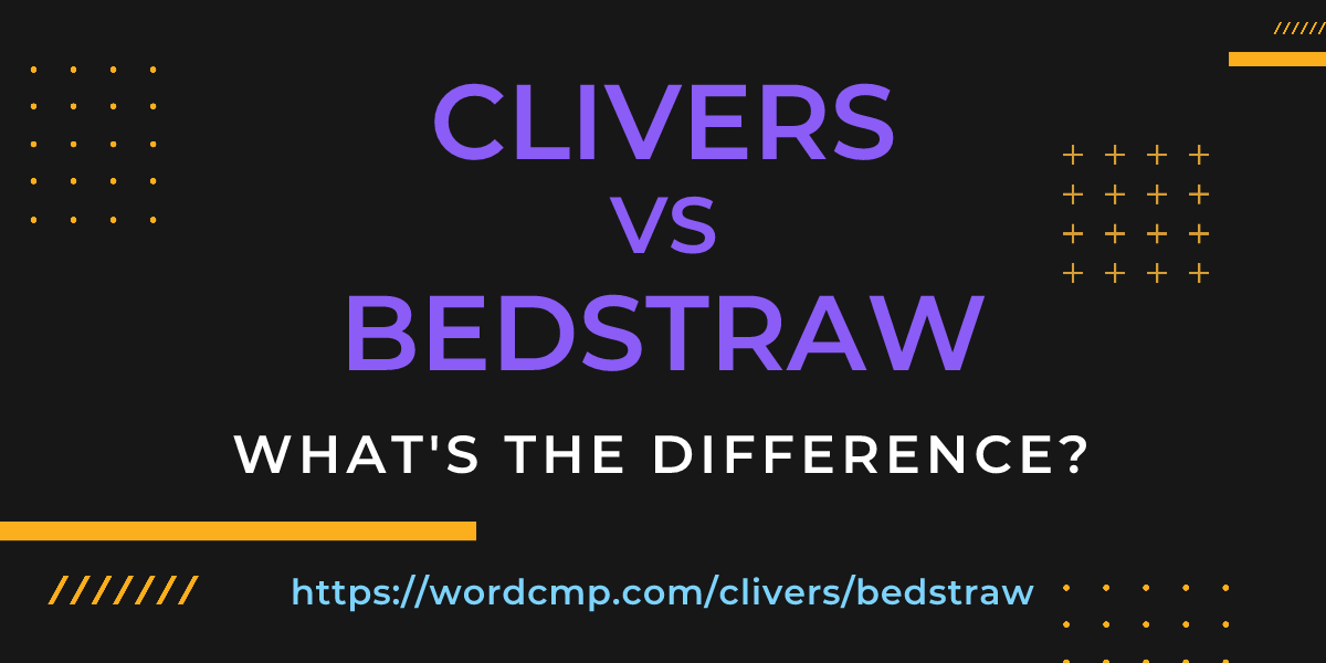 Difference between clivers and bedstraw