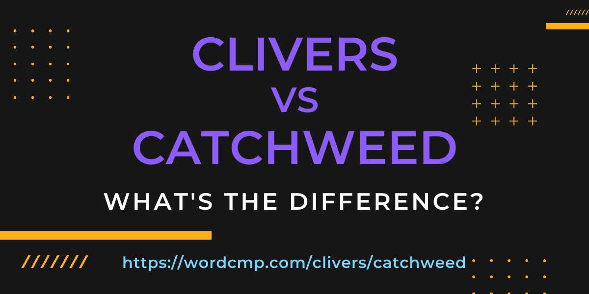 Difference between clivers and catchweed