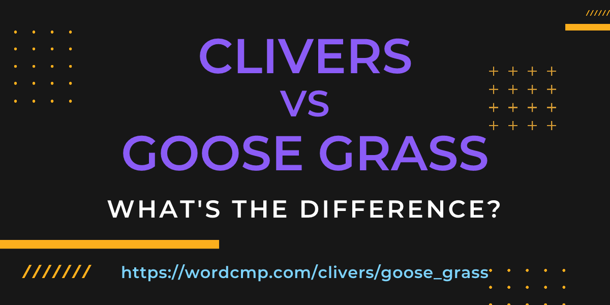 Difference between clivers and goose grass