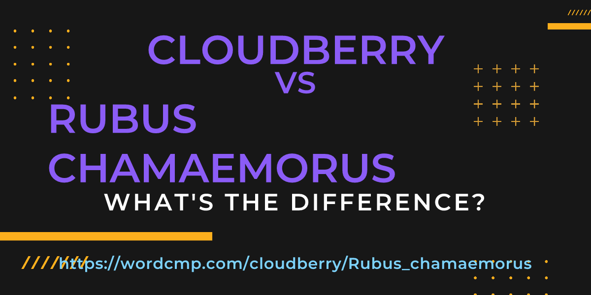 Difference between cloudberry and Rubus chamaemorus