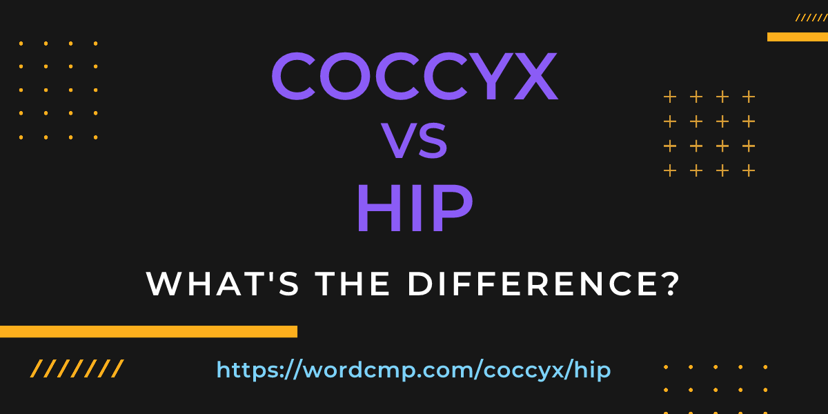 Difference between coccyx and hip