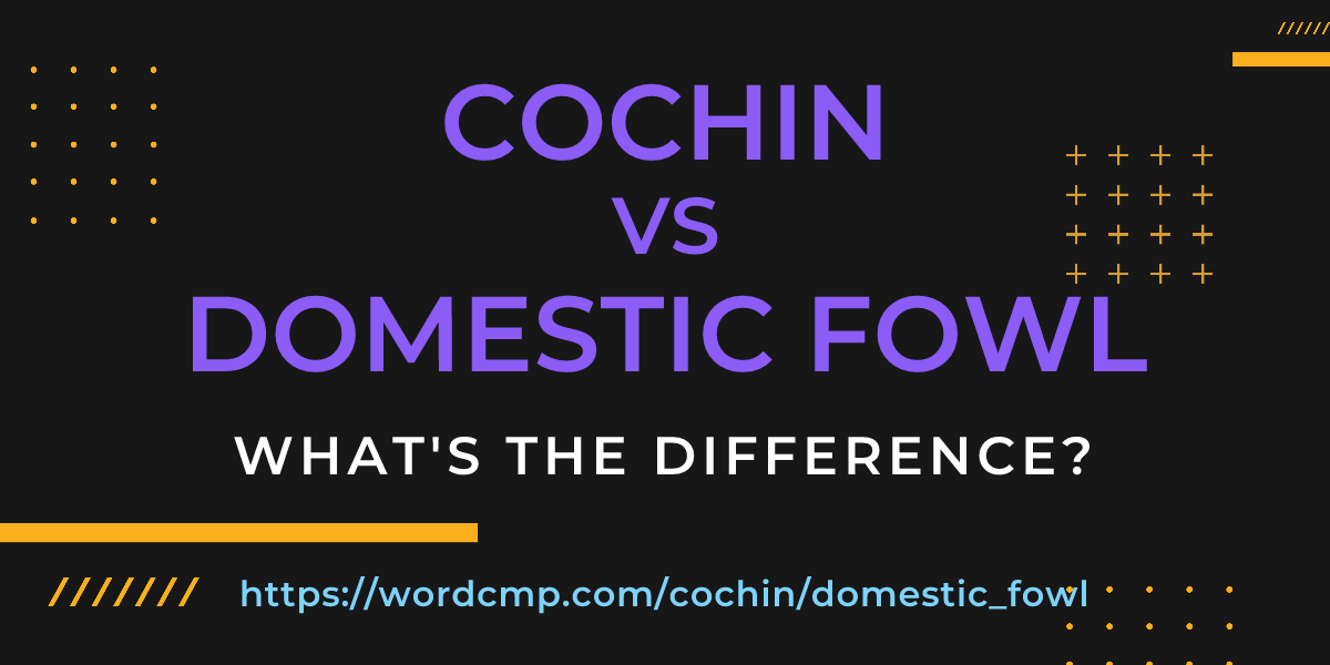 Difference between cochin and domestic fowl