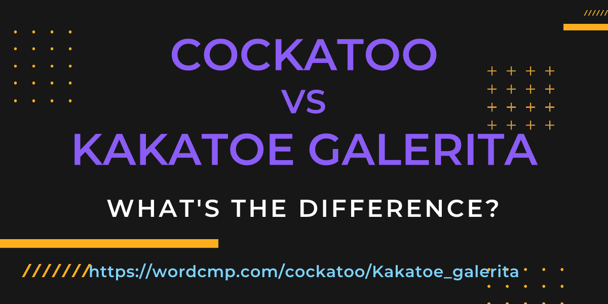 Difference between cockatoo and Kakatoe galerita