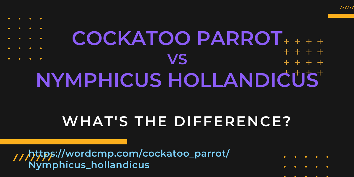 Difference between cockatoo parrot and Nymphicus hollandicus