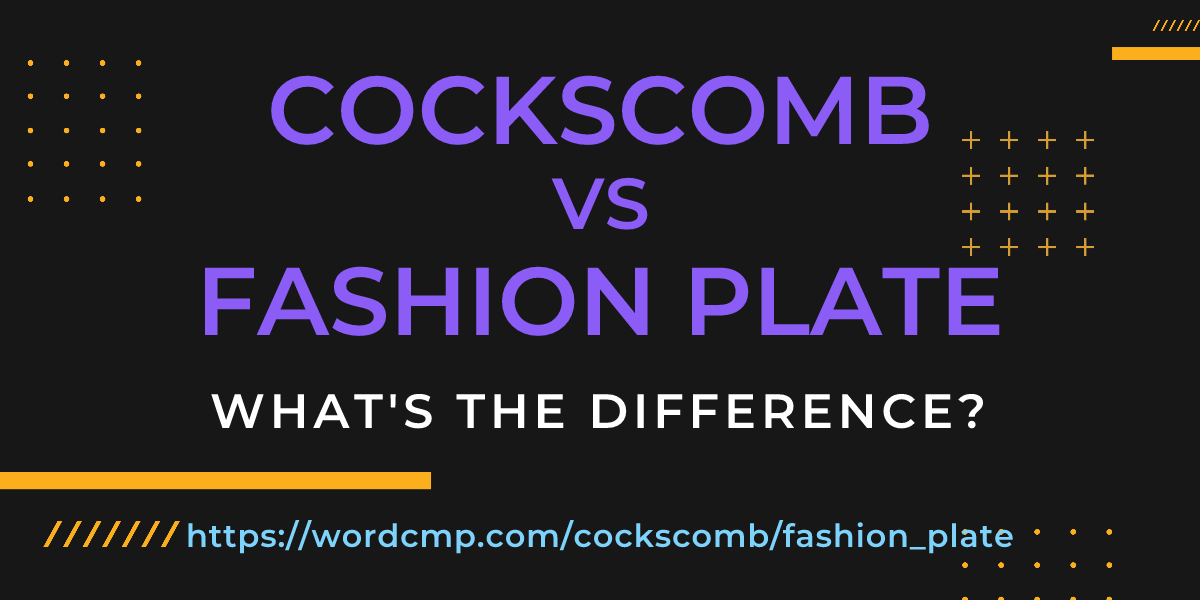 Difference between cockscomb and fashion plate
