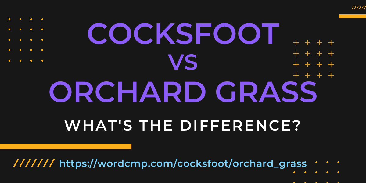 Difference between cocksfoot and orchard grass