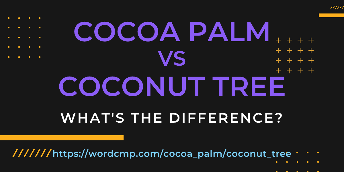 Difference between cocoa palm and coconut tree