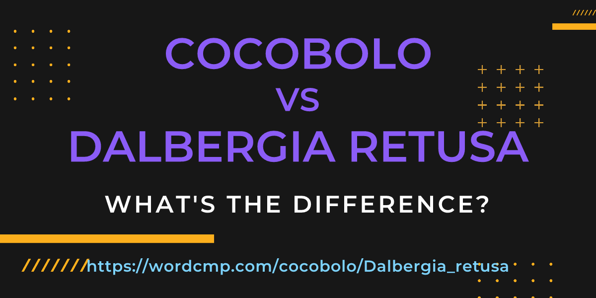 Difference between cocobolo and Dalbergia retusa