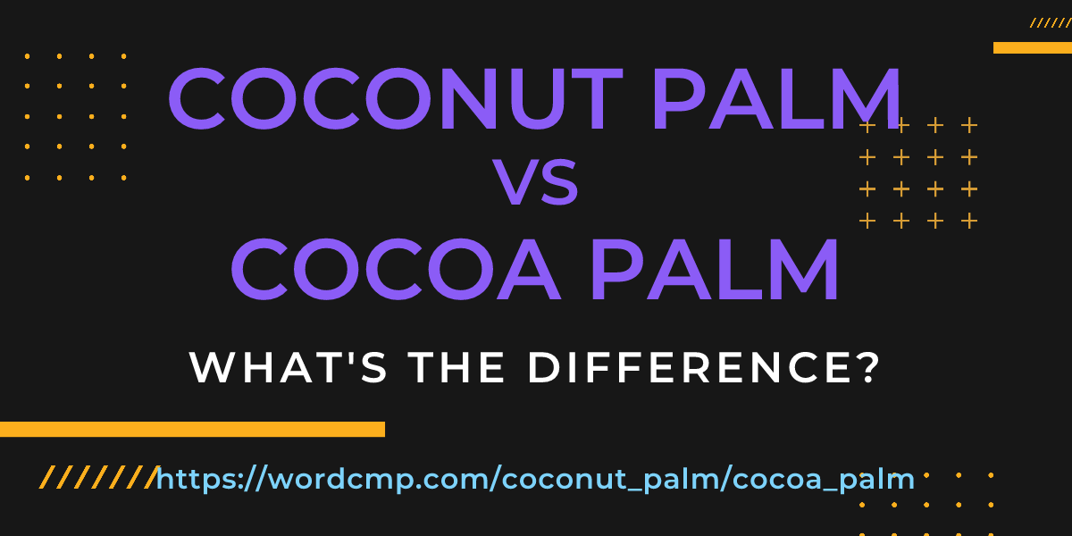 Difference between coconut palm and cocoa palm
