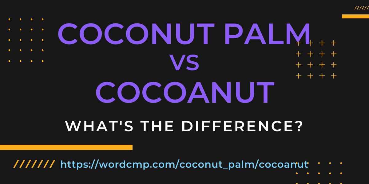 Difference between coconut palm and cocoanut