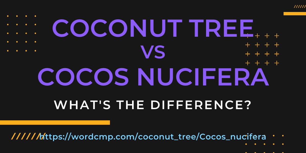 Difference between coconut tree and Cocos nucifera