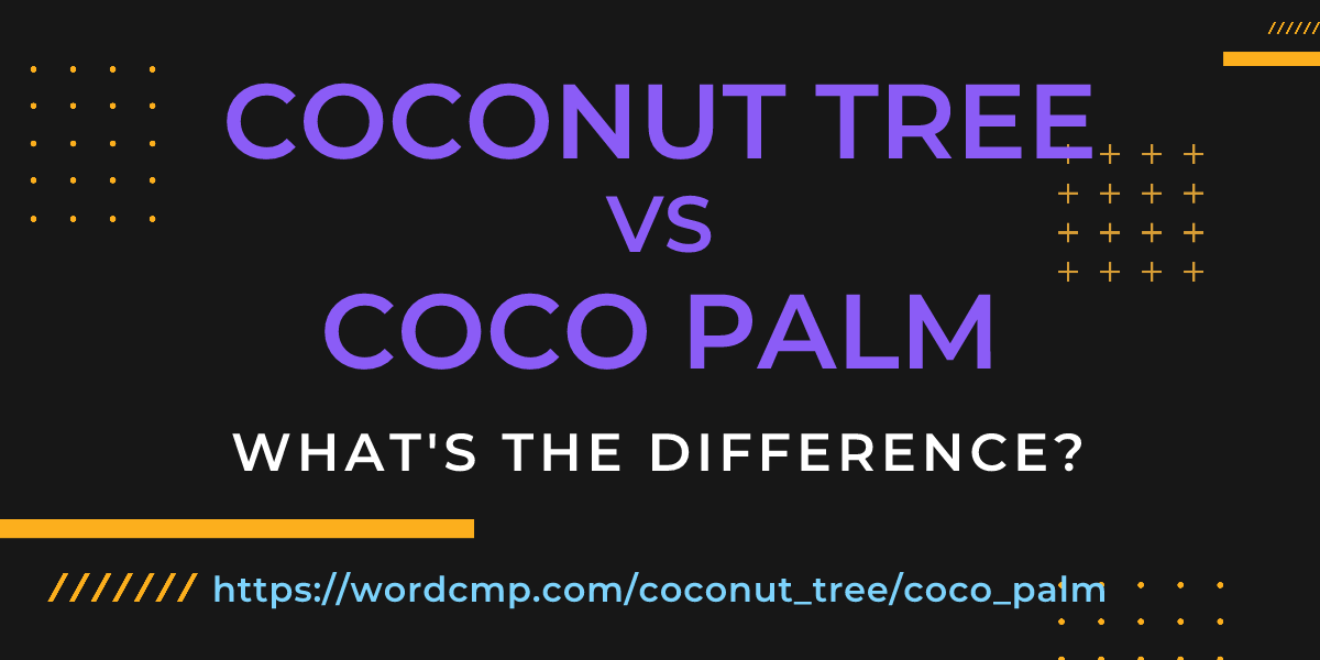 Difference between coconut tree and coco palm