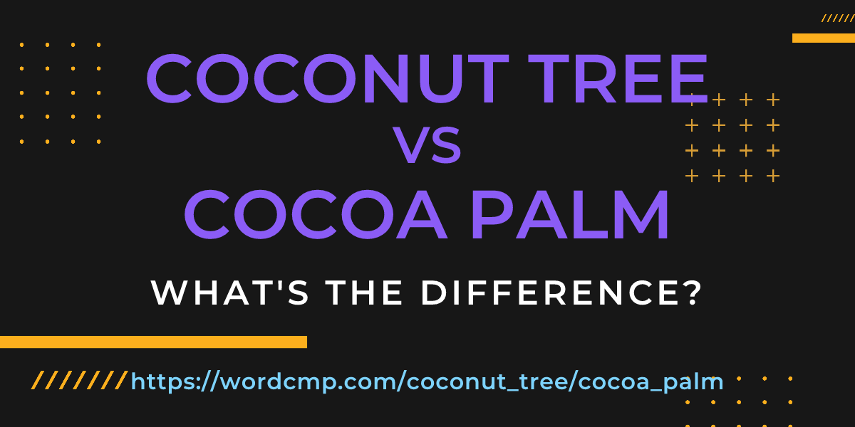 Difference between coconut tree and cocoa palm