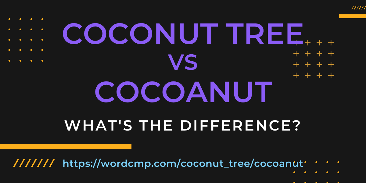 Difference between coconut tree and cocoanut