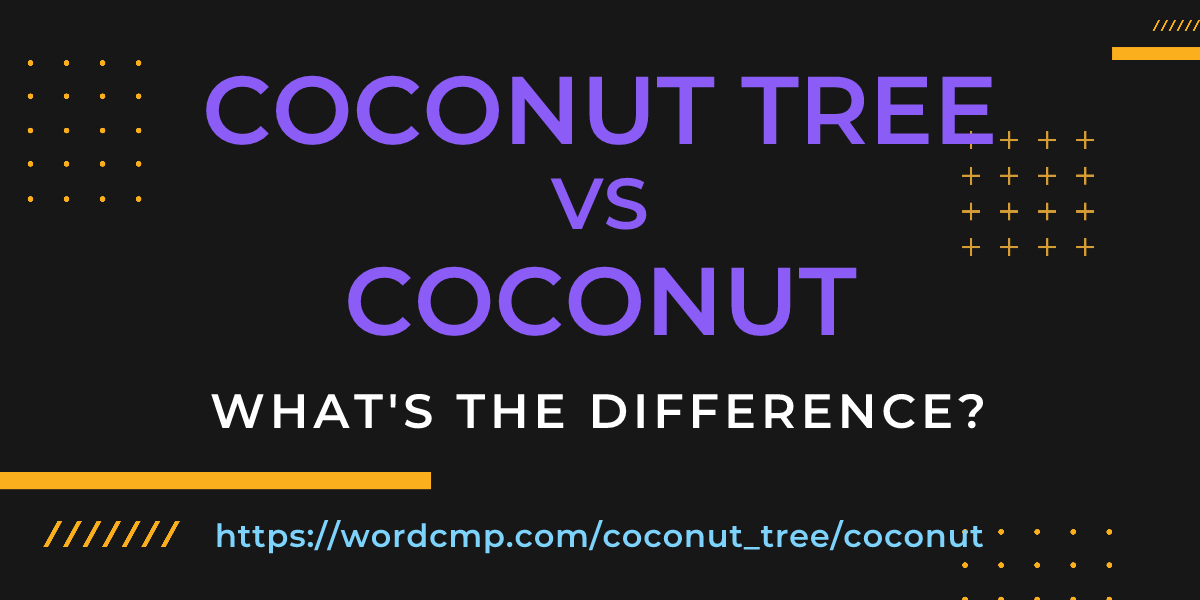 Difference between coconut tree and coconut
