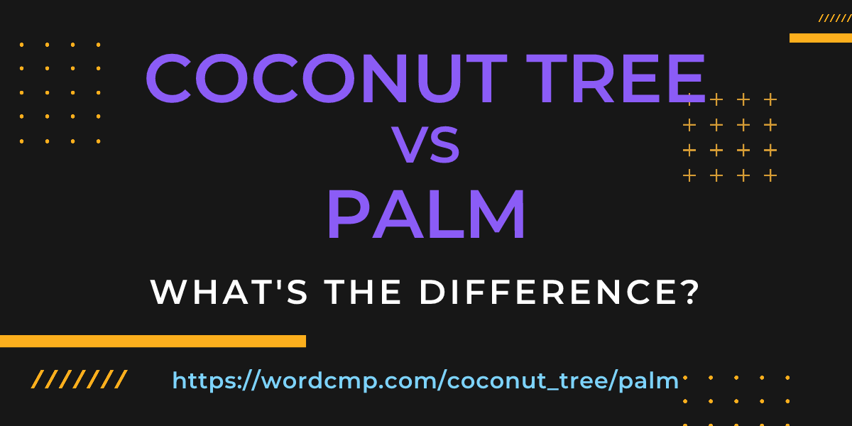 Difference between coconut tree and palm