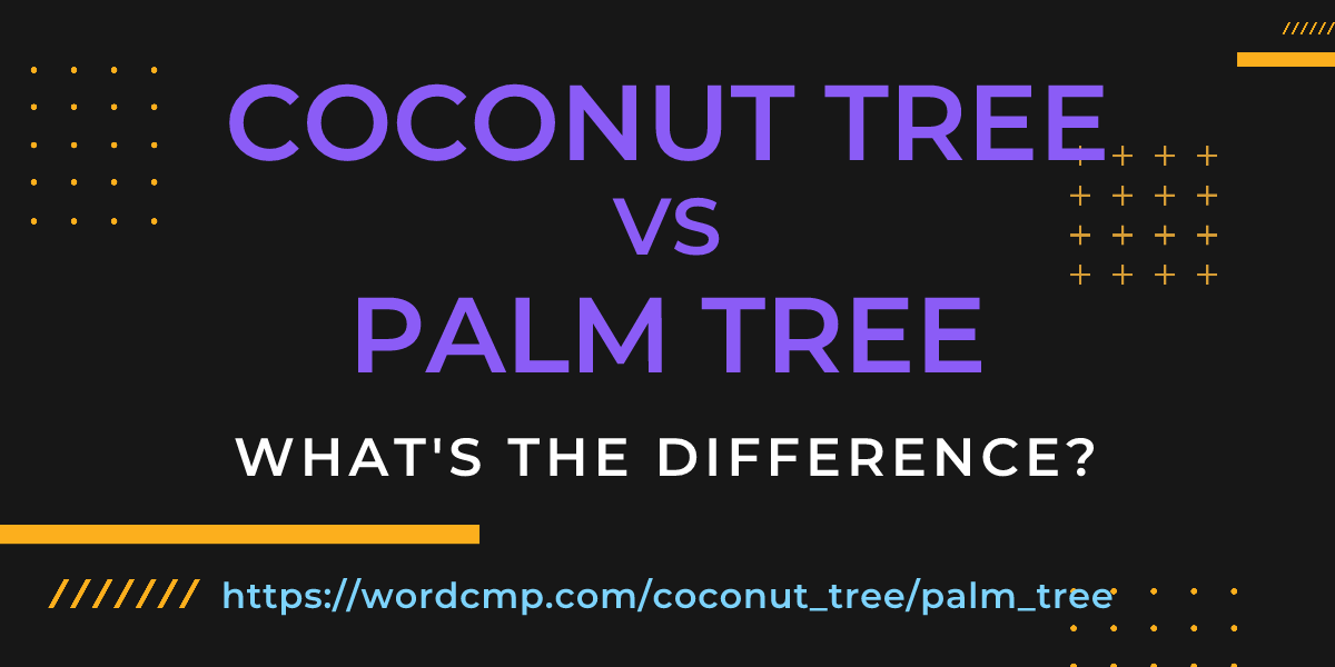 Difference between coconut tree and palm tree