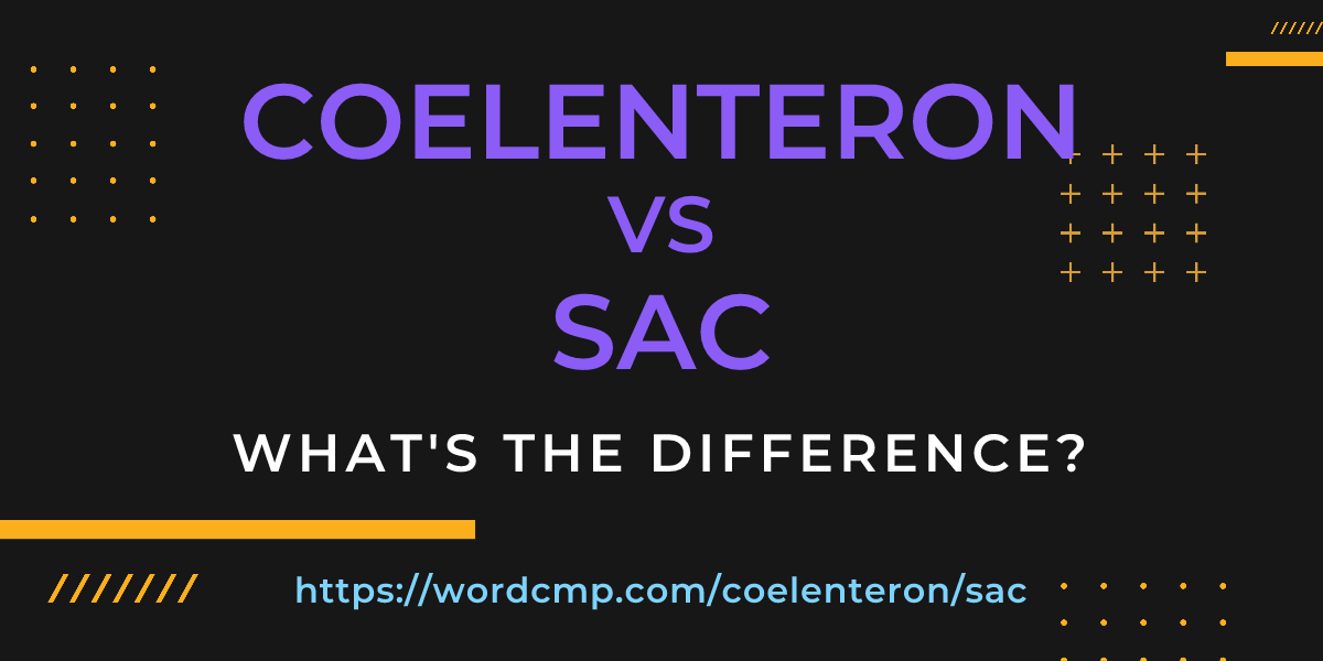 Difference between coelenteron and sac