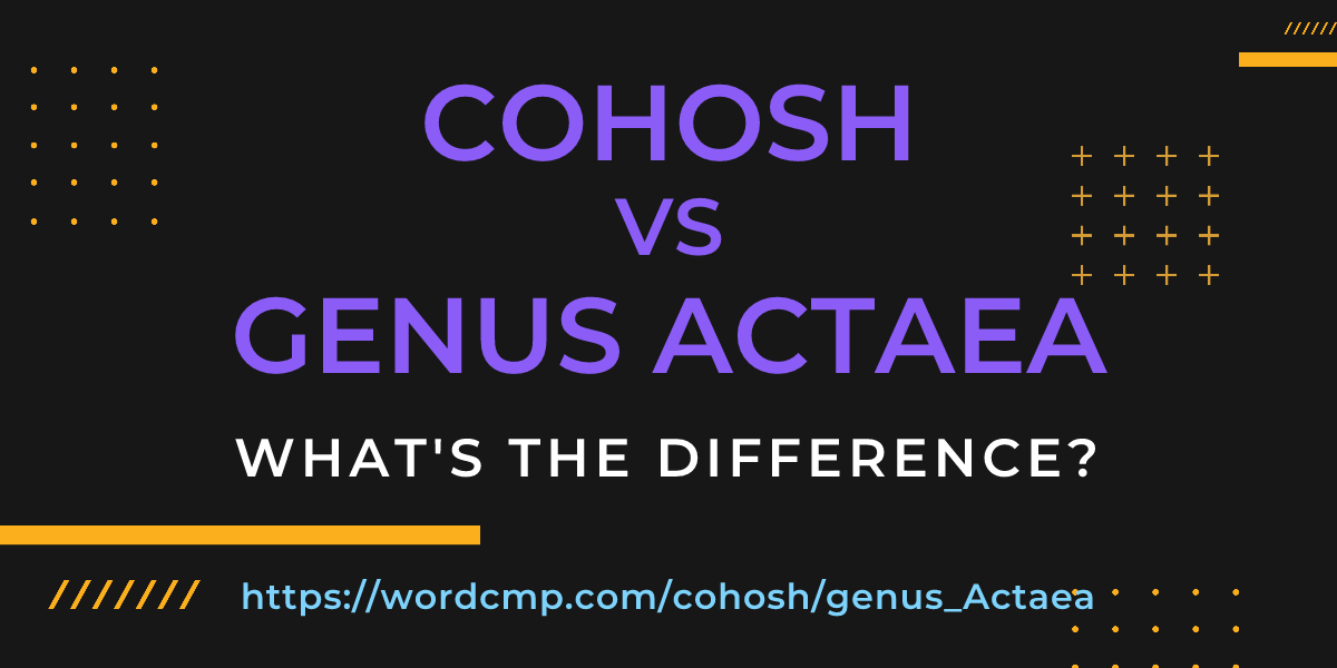 Difference between cohosh and genus Actaea
