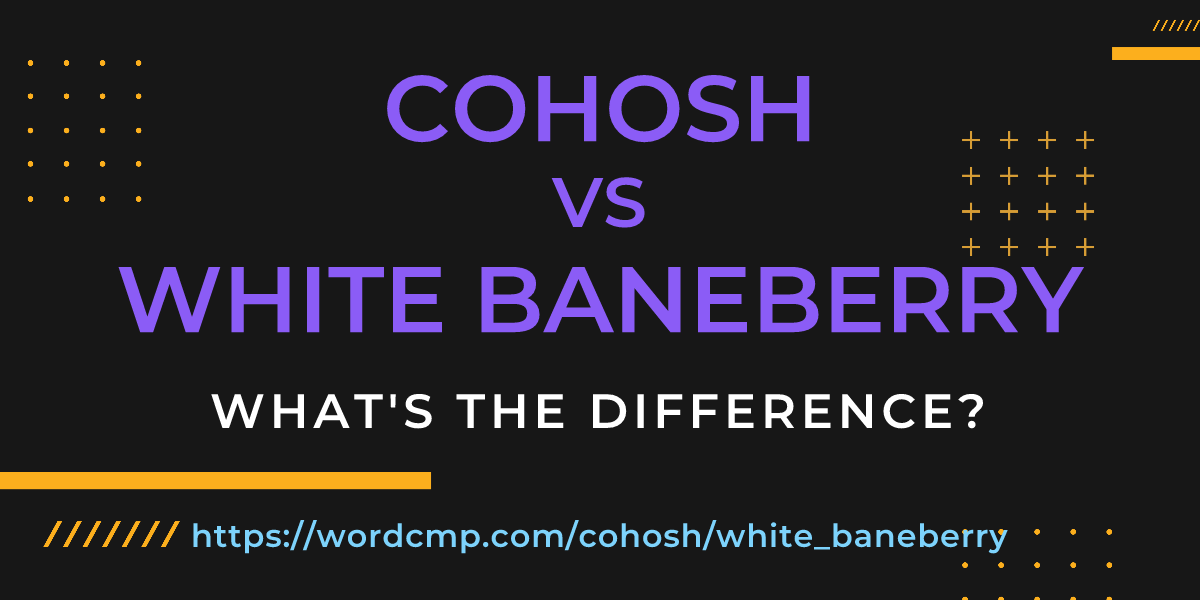 Difference between cohosh and white baneberry