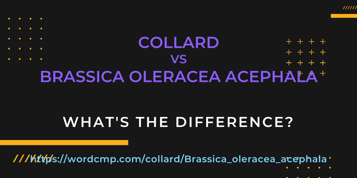 Difference between collard and Brassica oleracea acephala