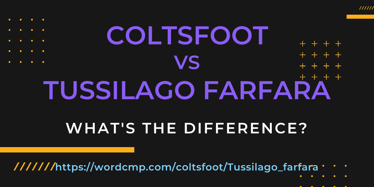 Difference between coltsfoot and Tussilago farfara