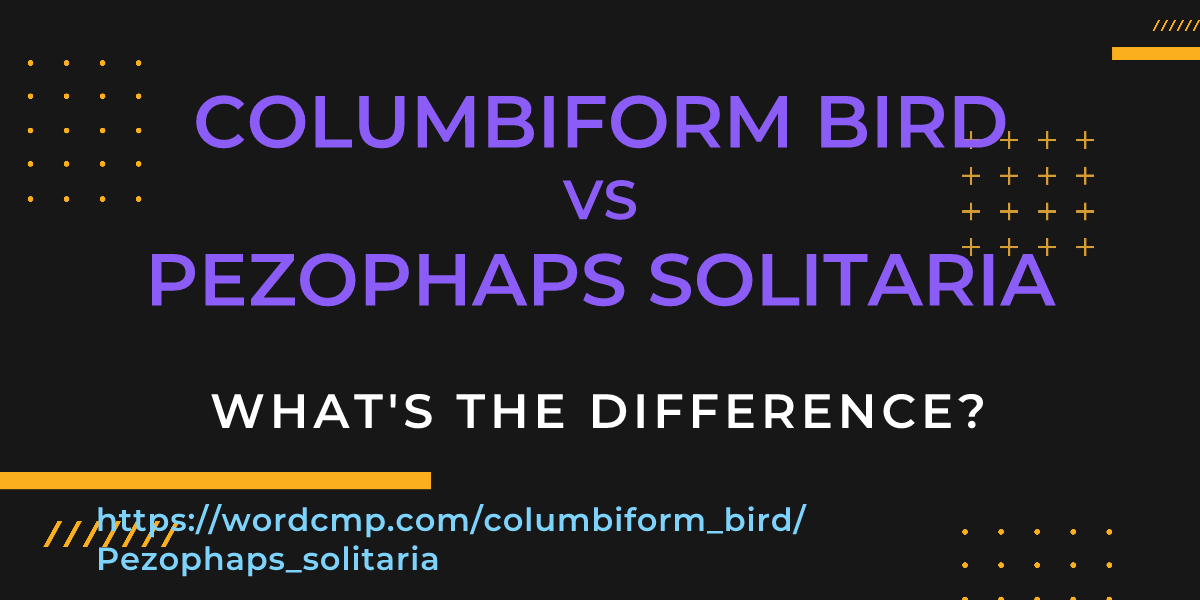 Difference between columbiform bird and Pezophaps solitaria