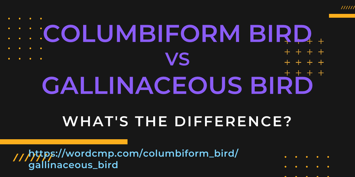 Difference between columbiform bird and gallinaceous bird