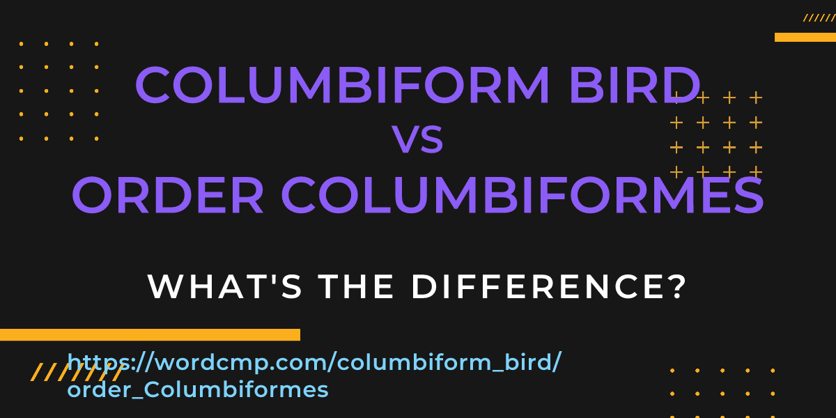 Difference between columbiform bird and order Columbiformes