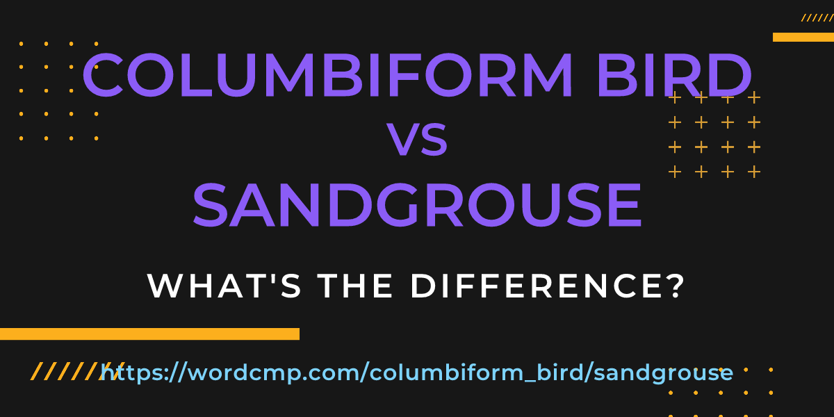 Difference between columbiform bird and sandgrouse