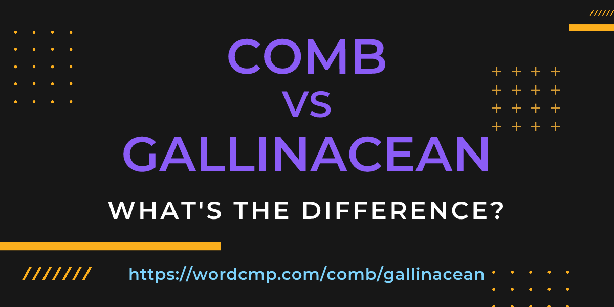 Difference between comb and gallinacean