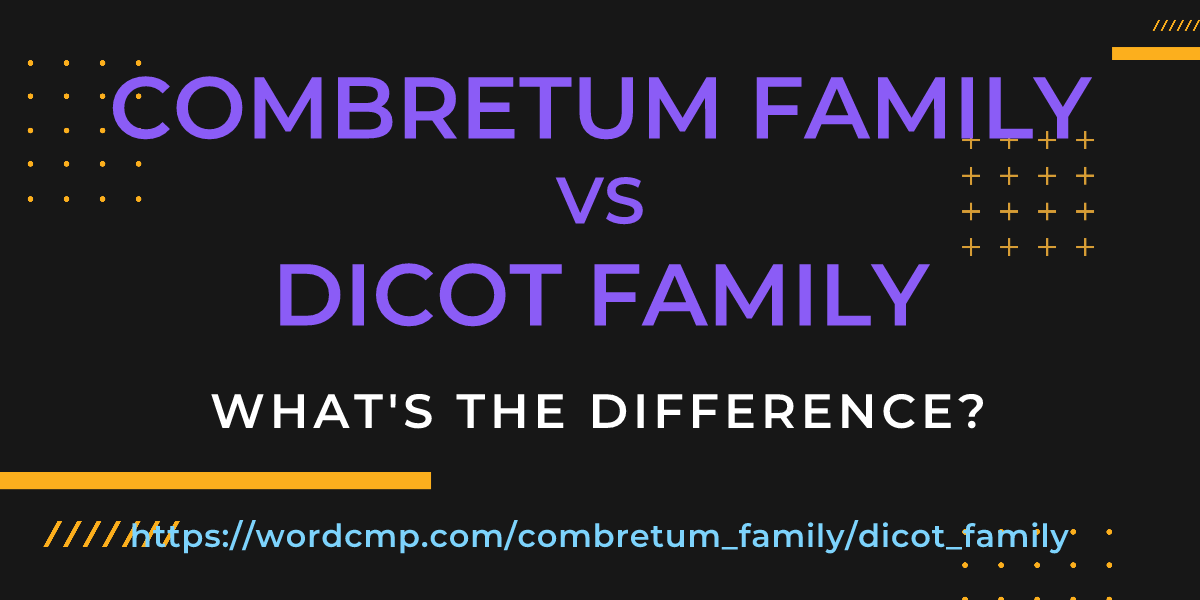 Difference between combretum family and dicot family