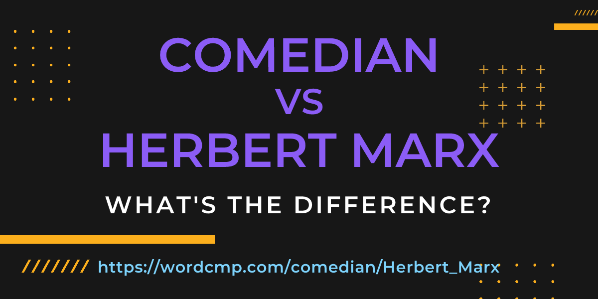 Difference between comedian and Herbert Marx