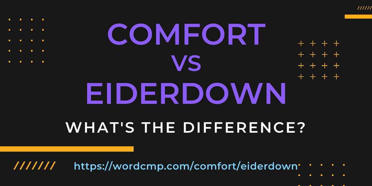 Difference between comfort and eiderdown