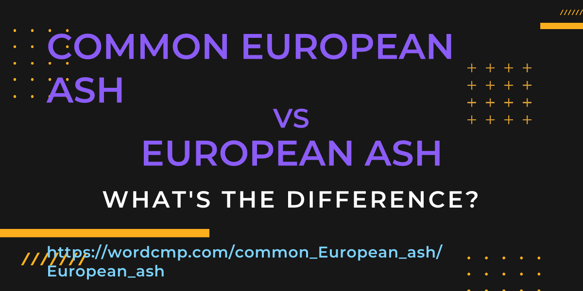 Difference between common European ash and European ash