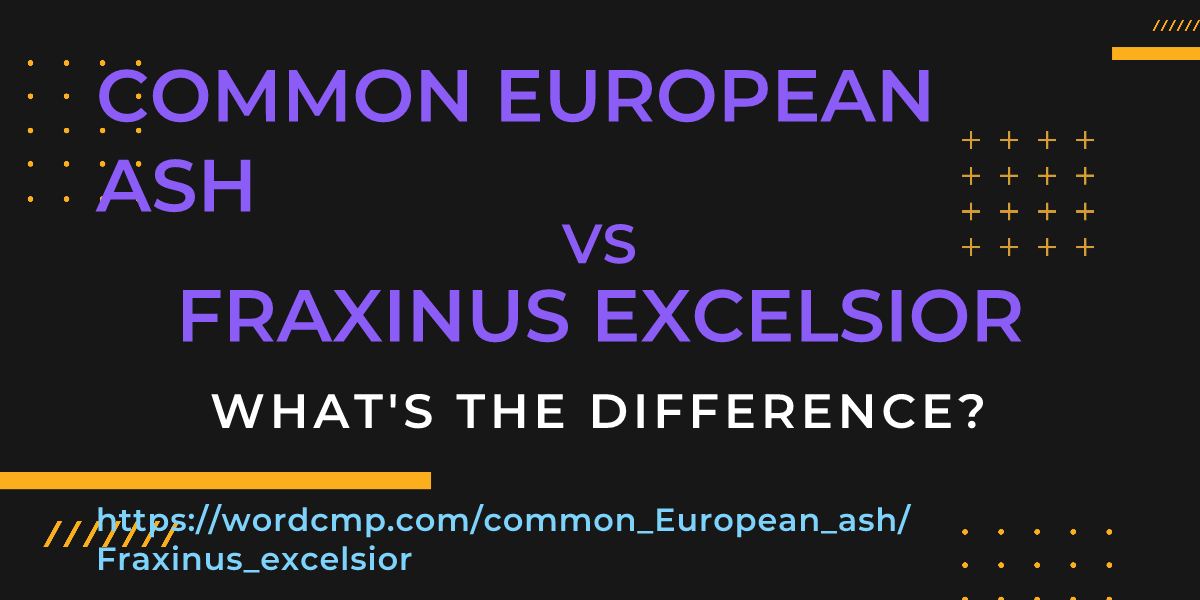 Difference between common European ash and Fraxinus excelsior
