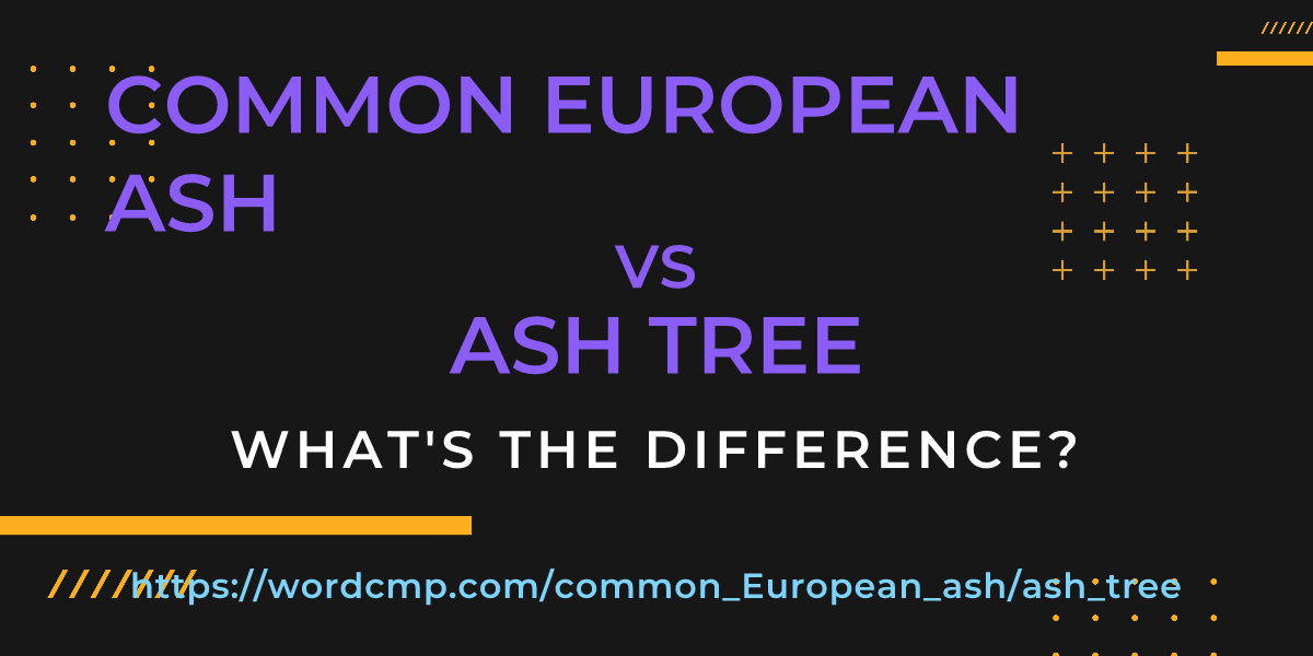 Difference between common European ash and ash tree