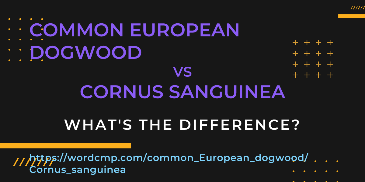 Difference between common European dogwood and Cornus sanguinea