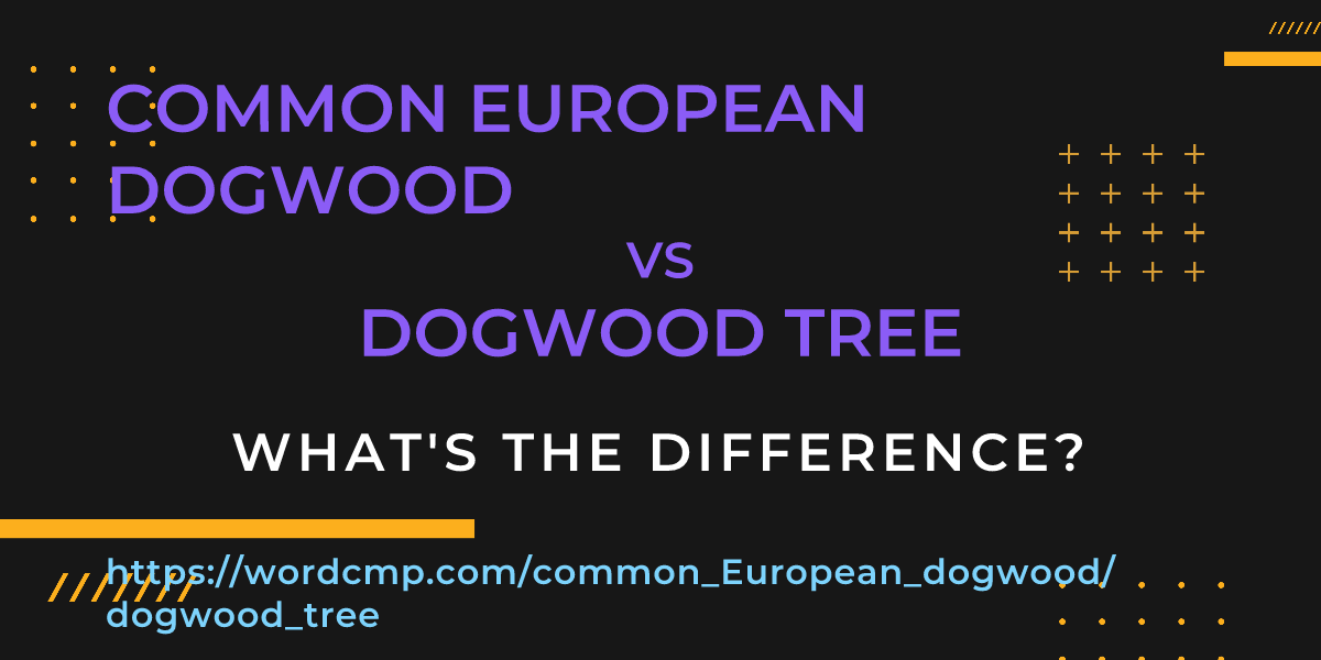 Difference between common European dogwood and dogwood tree