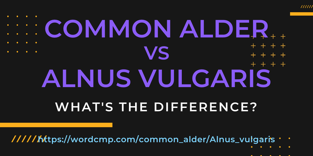 Difference between common alder and Alnus vulgaris