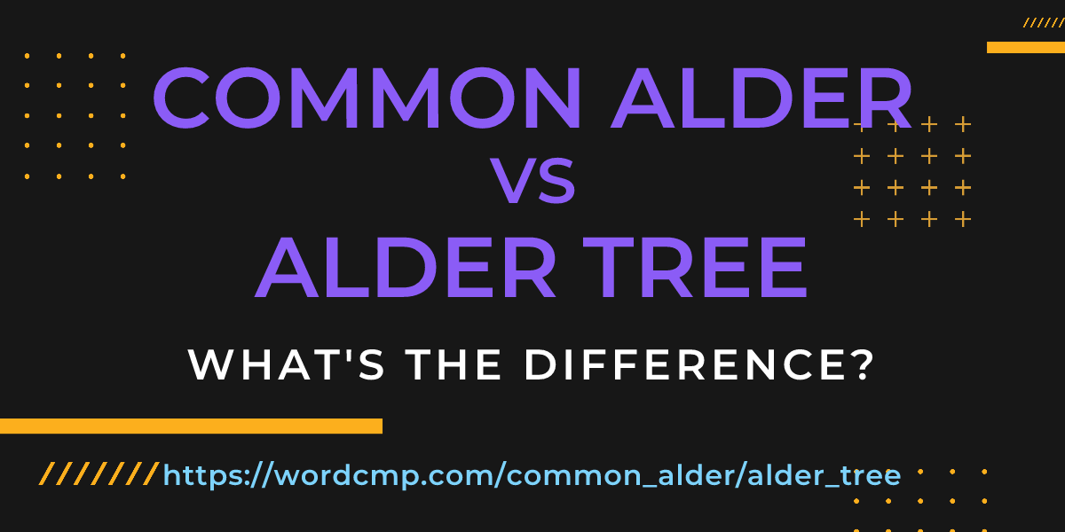Difference between common alder and alder tree