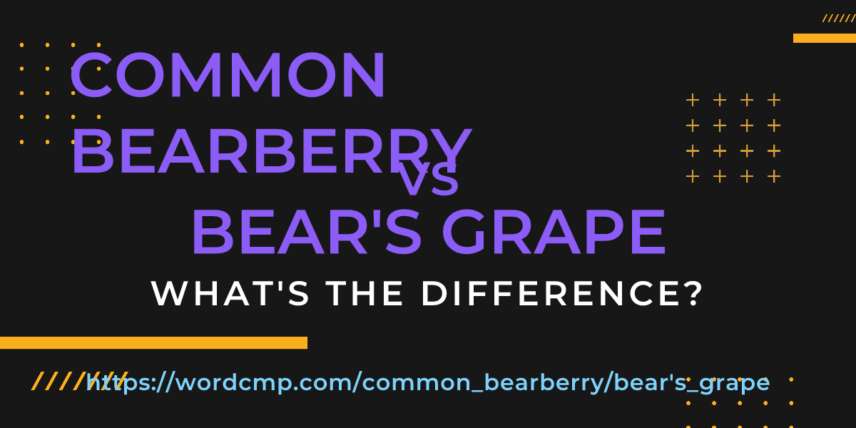 Difference between common bearberry and bear's grape