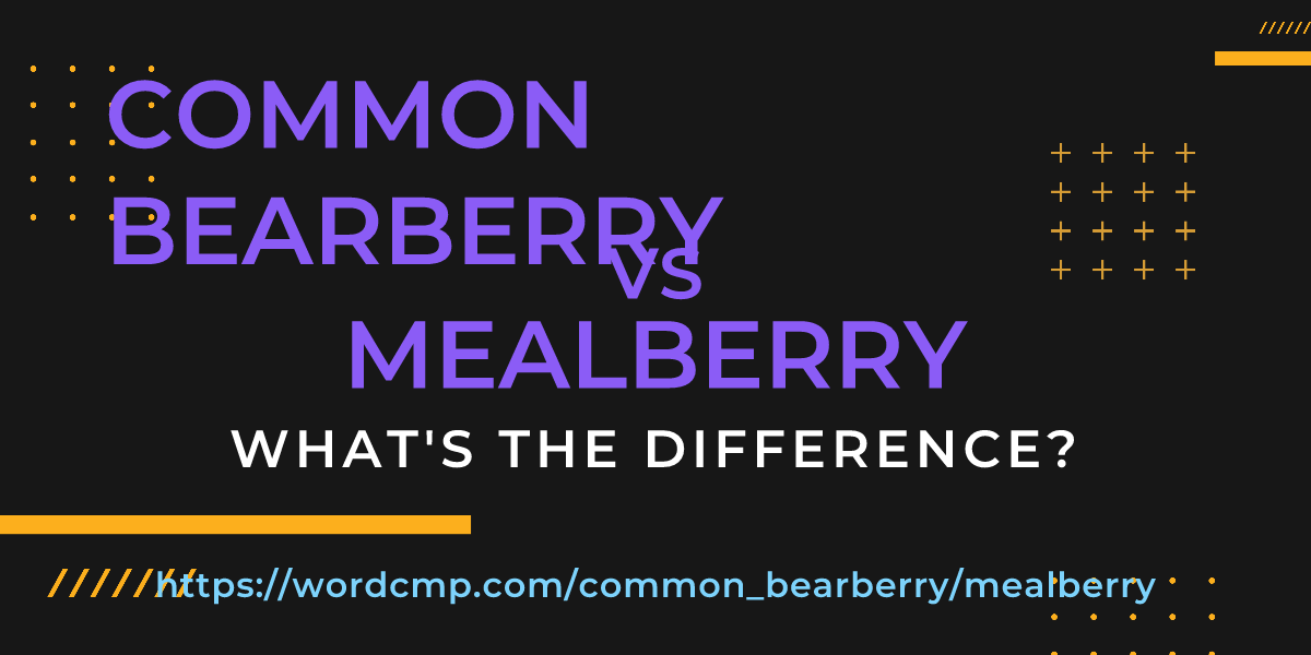 Difference between common bearberry and mealberry