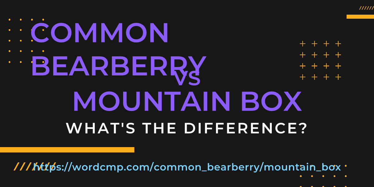 Difference between common bearberry and mountain box