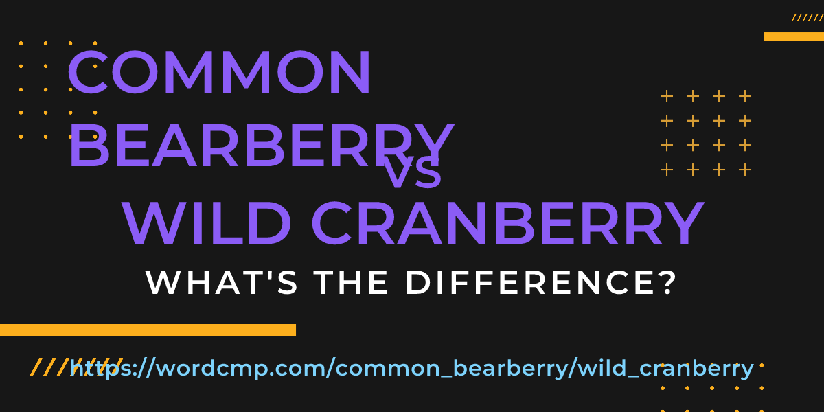 Difference between common bearberry and wild cranberry
