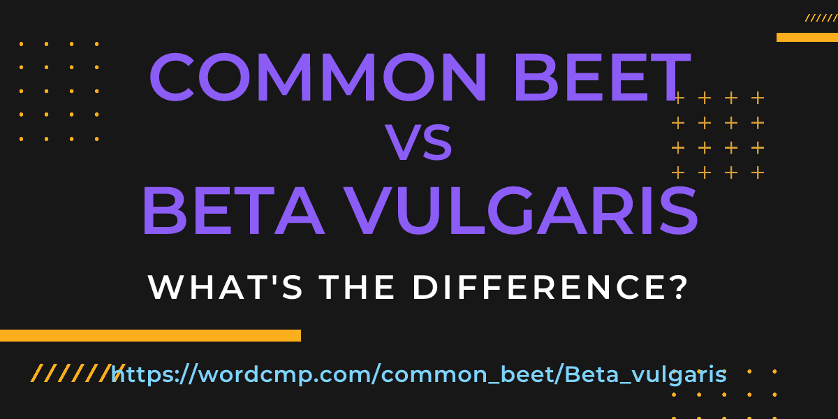 Difference between common beet and Beta vulgaris