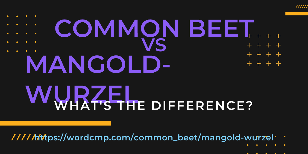 Difference between common beet and mangold-wurzel