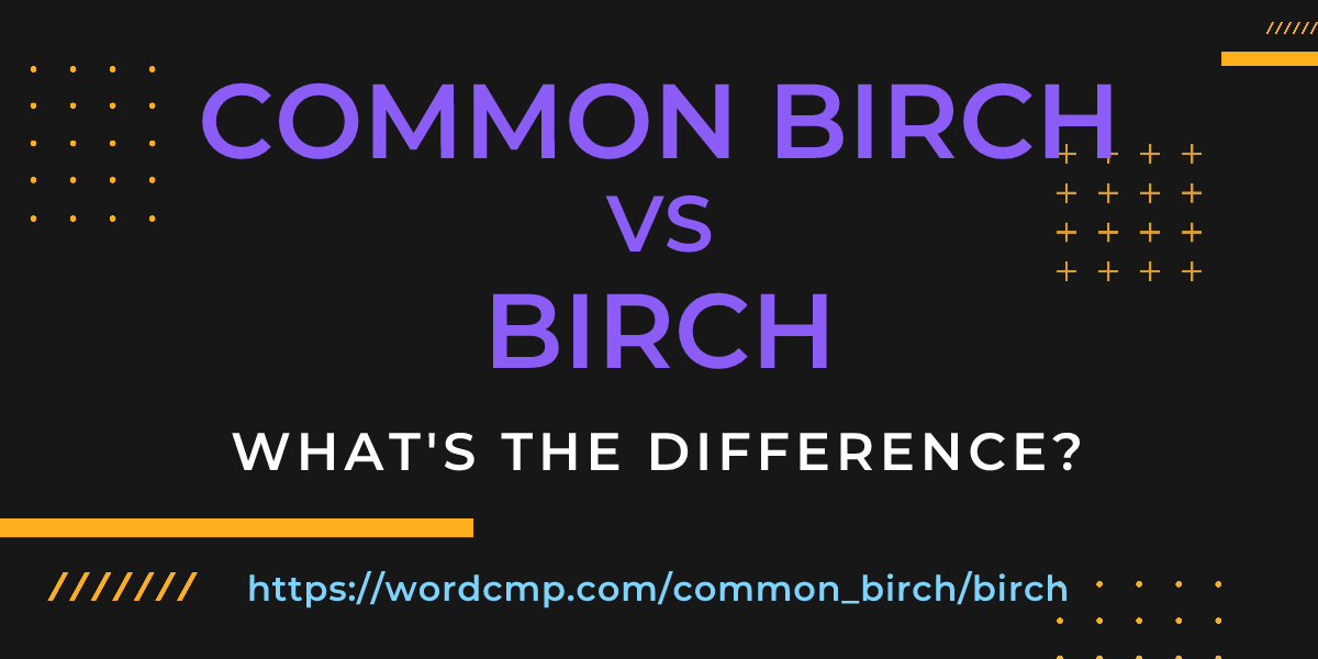 Difference between common birch and birch